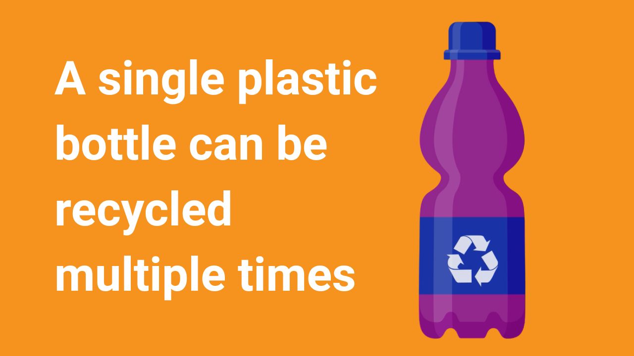 Recycled Multiple Times EN